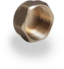 Brass Cap BSPP