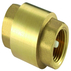 Non Return Valve